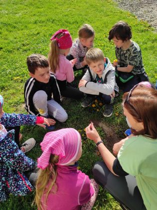 Fotografie img_20230511_084446_original.jpg