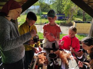 Fotografie img_20230511_091408_original.jpg