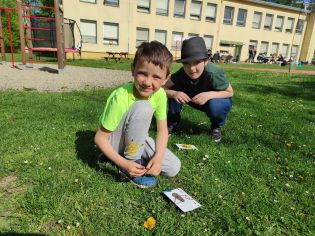 Fotografie img_20230511_091549_original.jpg