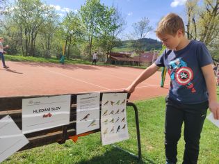 Fotografie img_20230511_092453_original.jpg