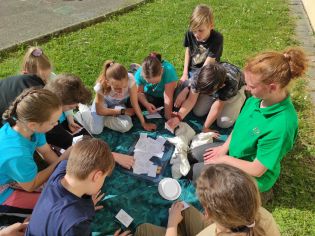 Fotografie img_20230511_092618_original.jpg