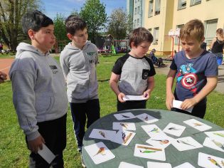 Fotografie img_20230511_092807_original.jpg