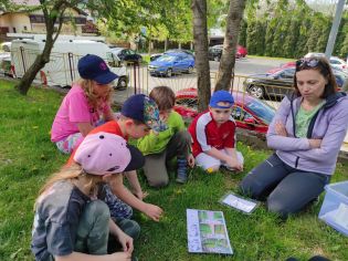 Fotografie img_20230511_093349_original.jpg