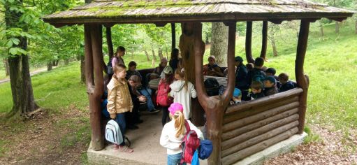 Fotografie img_20230516_132107_original.jpg