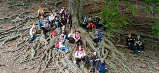 Fotografie img_20230516_135506_original.jpg