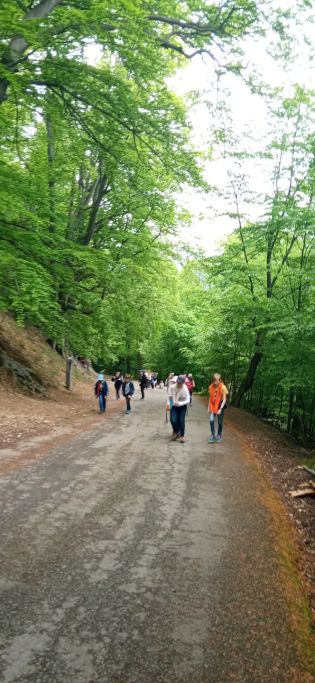 Fotografie img_20230516_135628_original.jpg