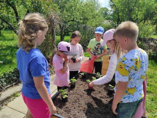 Fotografie img_20230522_135523_original.jpg