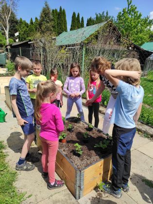 Fotografie img_20230522_135554_original.jpg