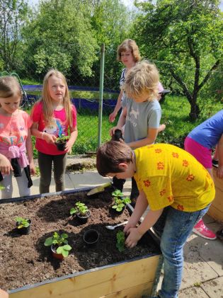 Fotografie img_20230522_135624_original.jpg