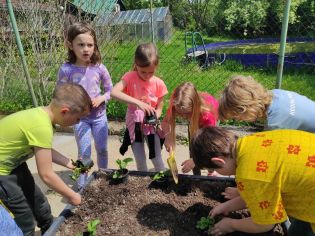 Fotografie img_20230522_135646_original.jpg