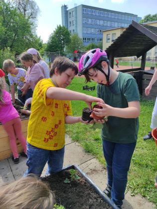 Fotografie img_20230522_135717_original.jpg