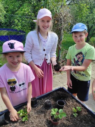 Fotografie img_20230522_135756_1_original.jpg