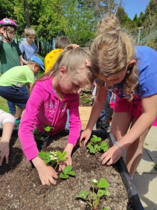 Fotografie img_20230522_135829_original.jpg