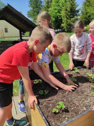 Fotografie img_20230522_135905_original.jpg