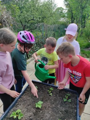 Fotografie img_20230522_140138_original.jpg