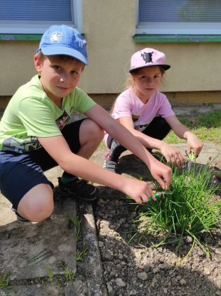 Fotografie img_20230522_140837_original.jpg