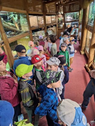 Fotografie 20230530_100907_original.jpg