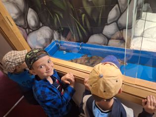 Fotografie 20230530_101524_original.jpg