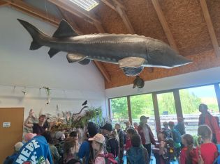 Fotografie 20230530_115834_original.jpg