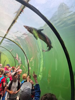 Fotografie 20230530_120510_original.jpg