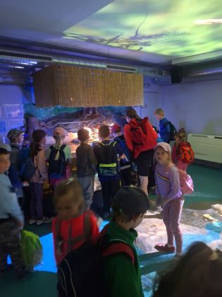 Fotografie 20230530_121633_original.jpg