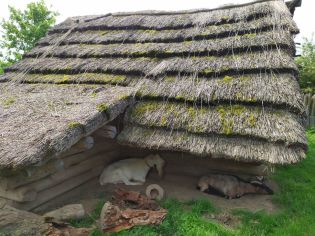 Fotografie 350664084_636276615062757_67856461134914_original.jpg