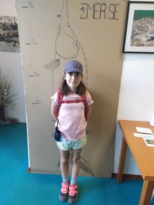 Fotografie 350686355_6730402796970265_2660200295352_original.jpg