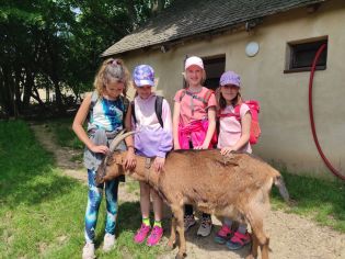 Fotografie img_20230530_112038_original.jpg