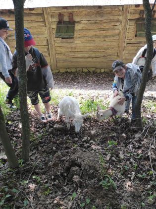 Fotografie img_20230530_112103_original.jpg