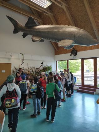 Fotografie img_20230530_113455_original.jpg