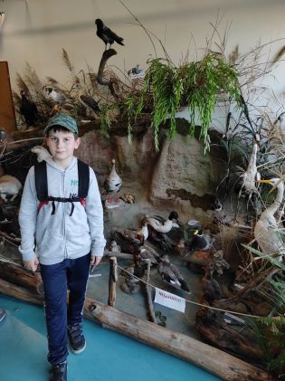 Fotografie img_20230530_113733_original.jpg