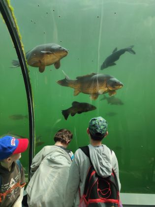 Fotografie img_20230530_115041_original.jpg