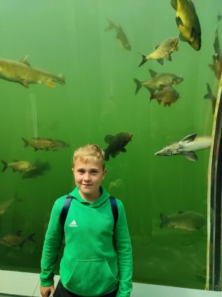 Fotografie img_20230530_115058_original.jpg