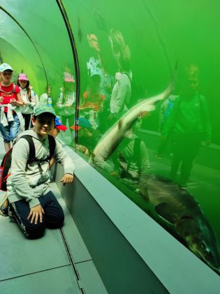 Fotografie img_20230530_115207_original.jpg