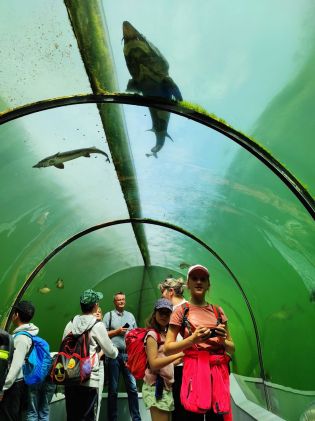 Fotografie img_20230530_115224_original.jpg