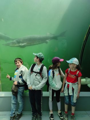 Fotografie img_20230530_115305_original.jpg