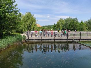 Fotografie img_20230530_120305_original.jpg