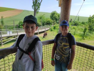 Fotografie img_20230530_121752_original.jpg