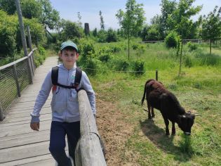 Fotografie img_20230530_121934_original.jpg