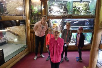 Fotografie p1180814_original.jpg