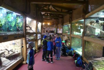 Fotografie p1180824_original.jpg