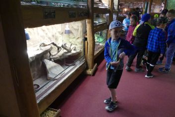 Fotografie p1180825_original.jpg