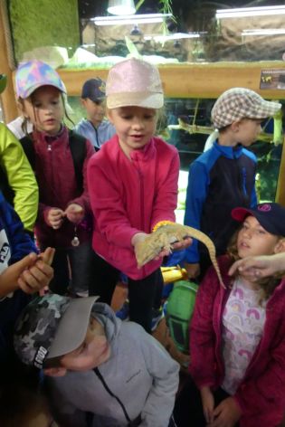 Fotografie p1180839_original.jpg