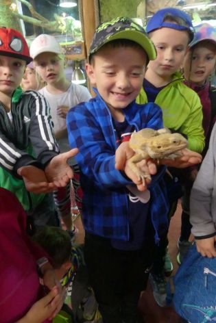 Fotografie p1180840_original.jpg