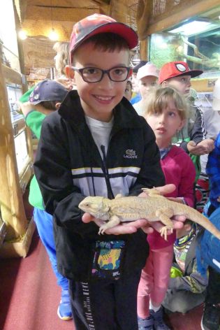 Fotografie p1180841_original.jpg