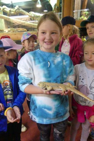 Fotografie p1180842_original.jpg