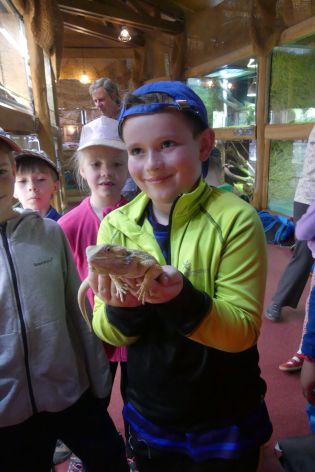 Fotografie p1180847_original.jpg