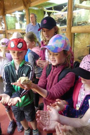 Fotografie p1180848_original.jpg