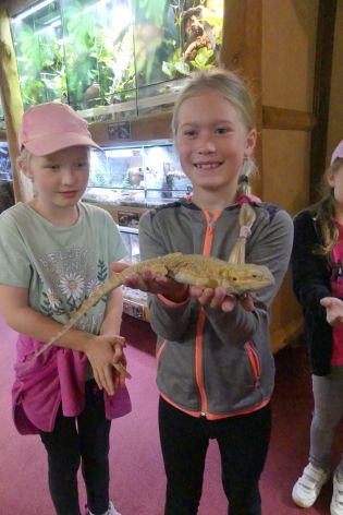 Fotografie p1180851_original.jpg