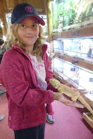 Fotografie p1180853_original.jpg